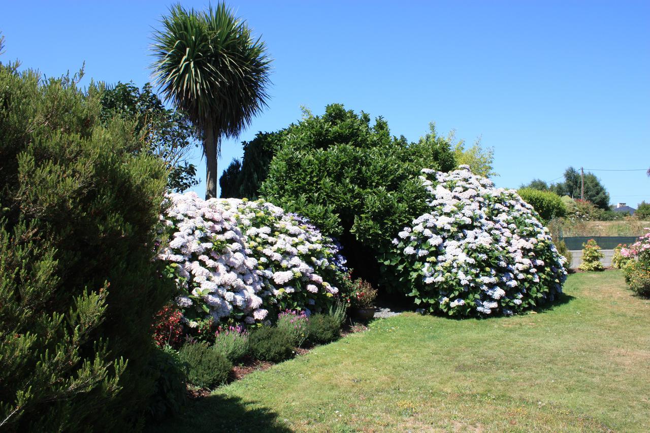 Les Camelias Bed and Breakfast Binic Exterior foto